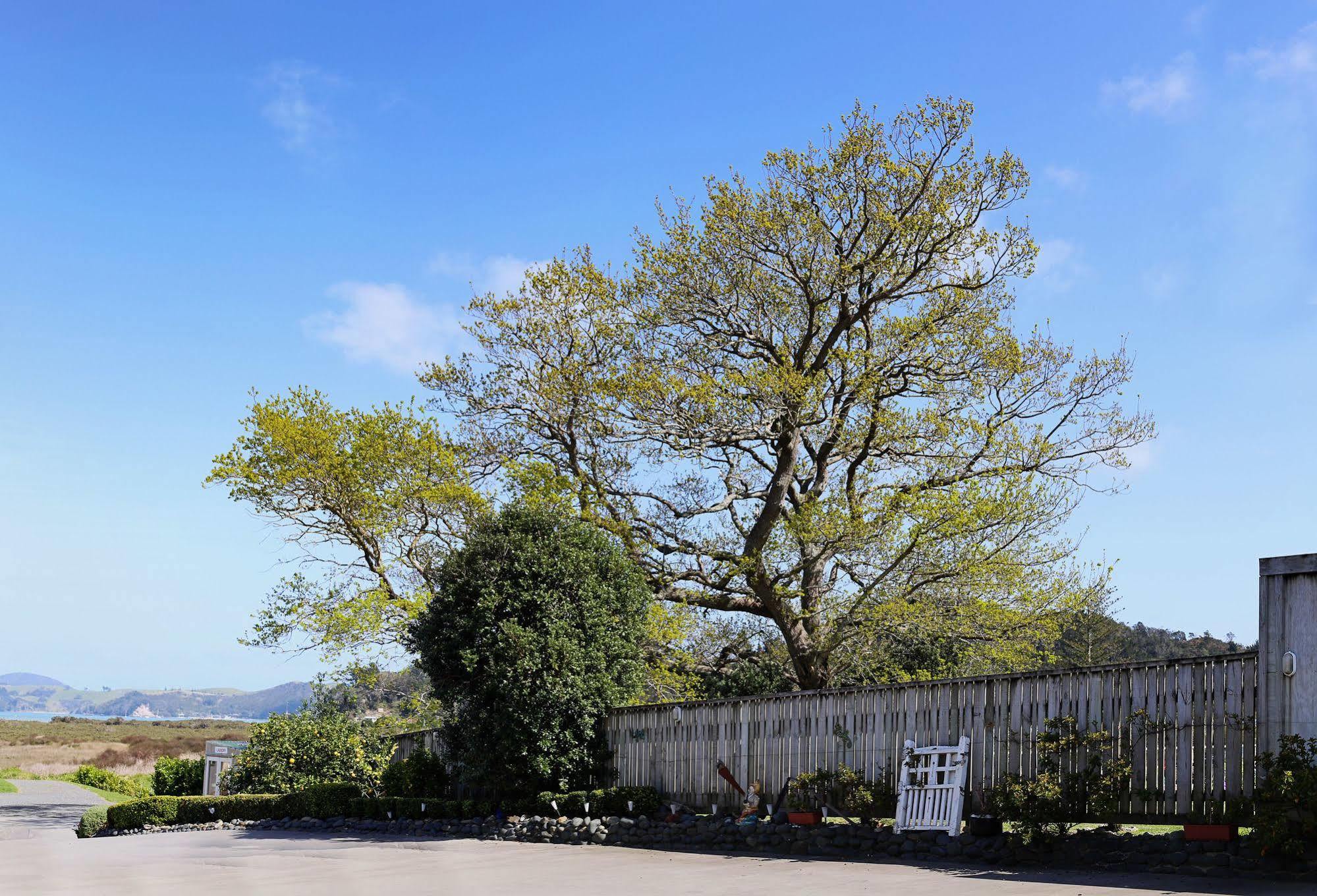 Abbey Court Motel Coromandel Exterior foto